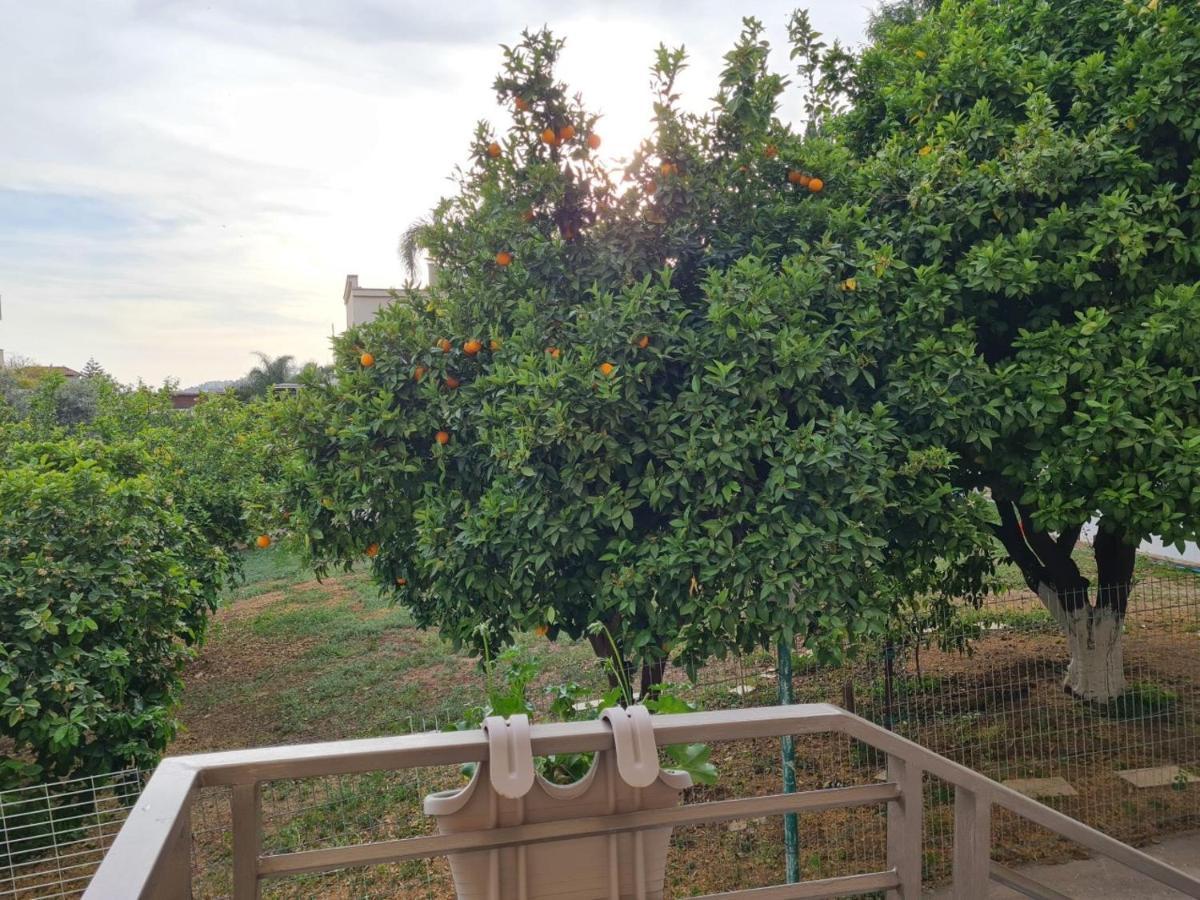 נצרת Rizik'S Guest House מראה חיצוני תמונה