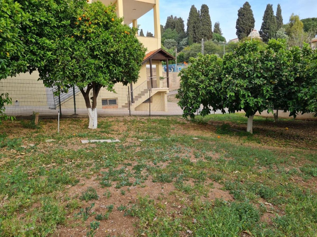 נצרת Rizik'S Guest House מראה חיצוני תמונה